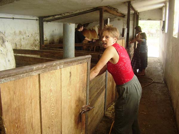 Výuka LineDance a country tanců u koní