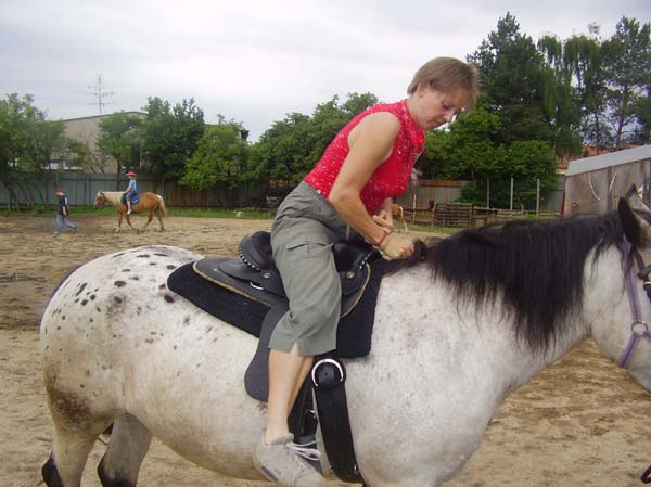 Výuka LineDance a country tanců u koní