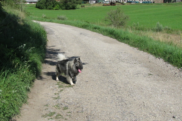 Communitní puťák 2012