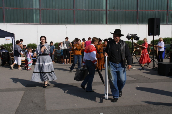 Vozíkobraní 2011