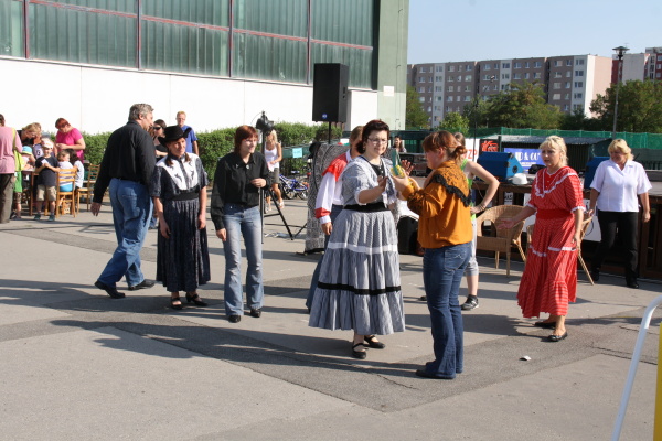 Vozíkobraní 2011