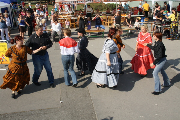 Vozíkobraní 2011