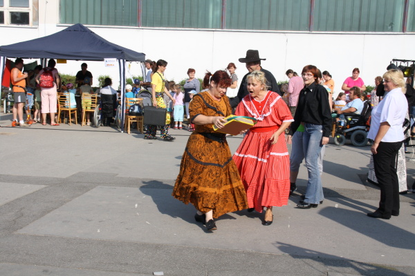 Vozíkobraní 2011