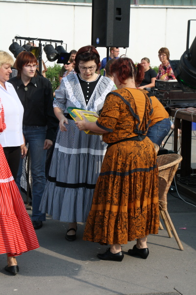 Vozíkobraní 2011