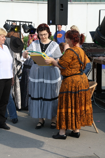 Vozíkobraní 2011