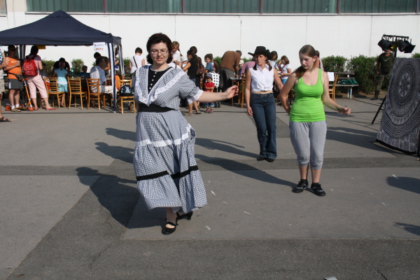 Vozíkobraní 2011