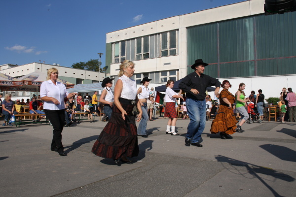 Vozíkobraní 2011