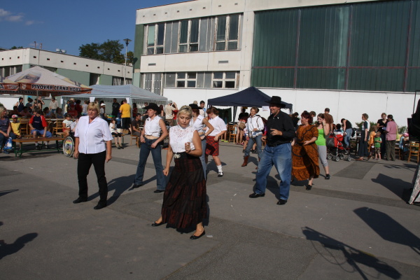 Vozíkobraní 2011