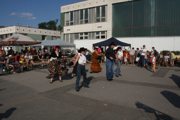 Vozíkobraní 2011