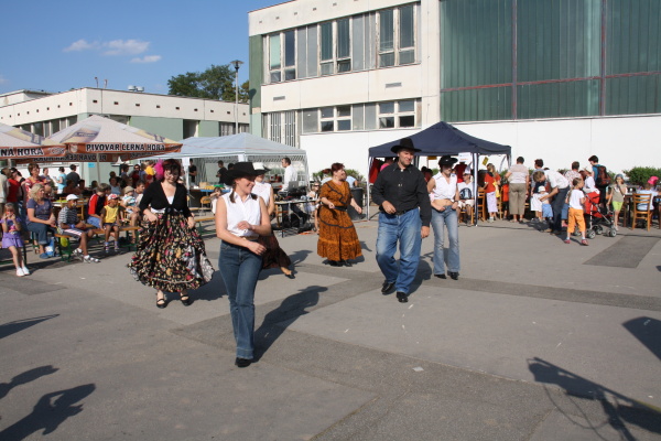 Vozíkobraní 2011