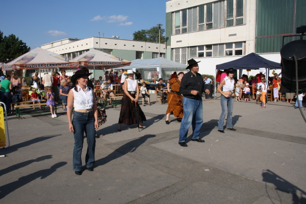 Vozíkobraní 2011