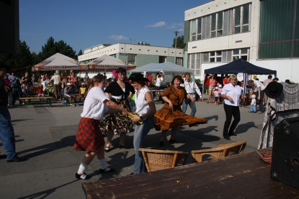 Vozíkobraní 2011