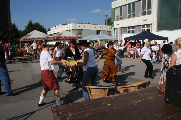 Vozíkobraní 2011