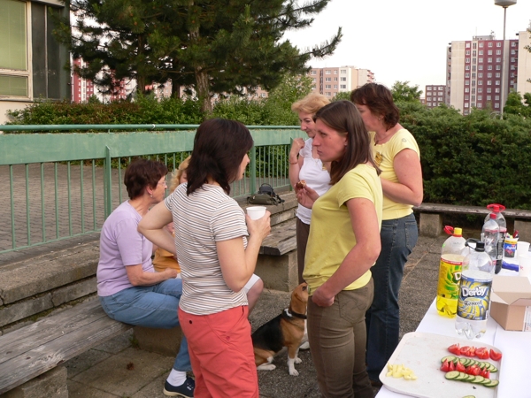 Závěr taneční sezóny 2009/2010