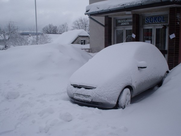 Zvířátkový Special 2005