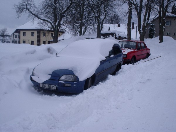 Zvířátkový Special 2005